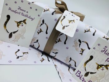 Papier cadeau chats mignons Emballage cadeau sur le thème des chats FERGUS 9
