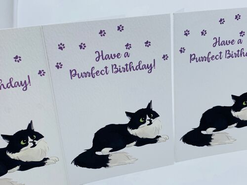 Cute LEO Fluffy Cat BIRTHDAY CARD PURRFECT BIRTHDAY