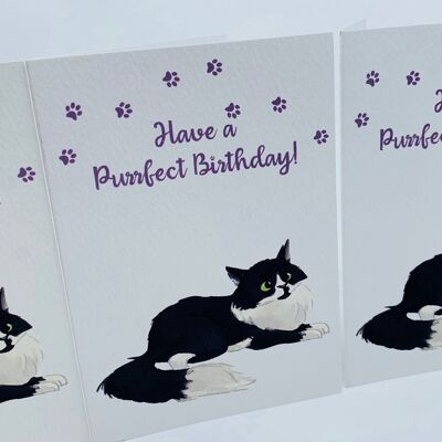 Simpatico LEO Fluffy Cat BIRTHDAY CARD PURRFECT BIRTHDAY