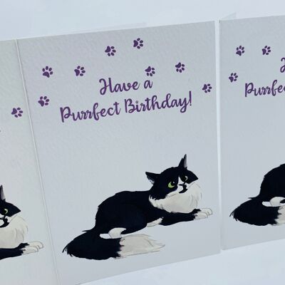 CARTE D'ANNIVERSAIRE Mignon LEO Fluffy Cat PURRFECT BIRTHDAY