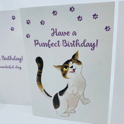 Carte d'anniversaire A6 chat mignon avec enveloppe blanche à peler et coller - FERGUS