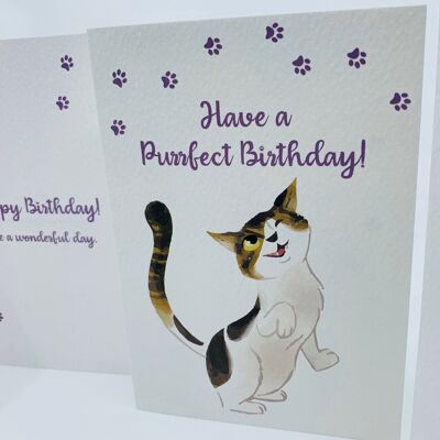 Cute Cat A6 Birthday Card with White Peel and Stick Envelope - FERGUS