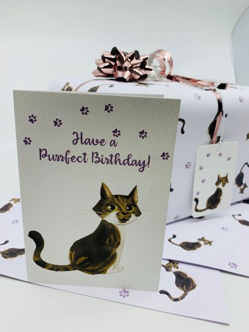Cute Tabby Cat A6 Birthday Card with Peel and Stick Envelope - Isla