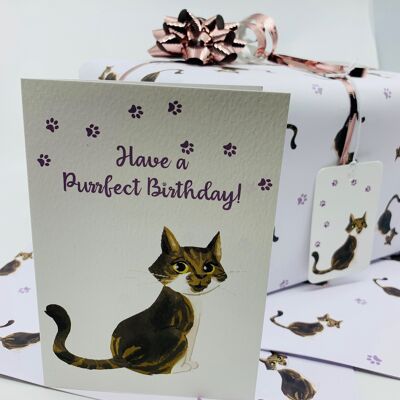 Linda tarjeta de cumpleaños de gato atigrado A6 con sobre de despegar y pegar - Isla