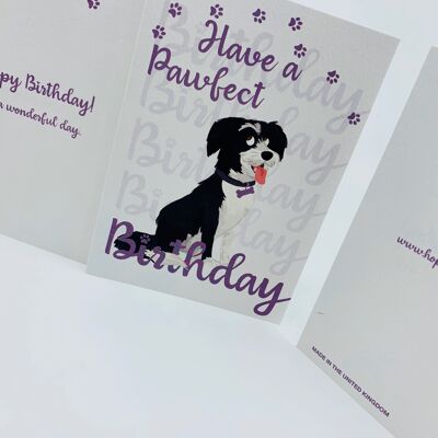 Cute Dog A6 Birthday Card with Envelope, LUCY Pawfect Birthday