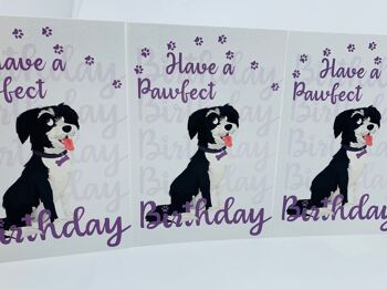 Carte d'anniversaire de chien mignon A6 avec enveloppe, anniversaire de LUCY Pawfect 7