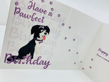 Carte d'anniversaire de chien mignon A6 avec enveloppe, anniversaire de LUCY Pawfect 10