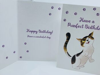 Carte d'anniversaire chat mignon A6 AVOIR UN ANNIVERSAIRE PURRFECT - FERGUS 10