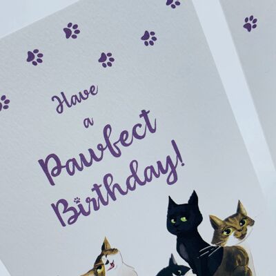 Tarjeta de cumpleaños 4 gatos tienen un cumpleaños perfecto