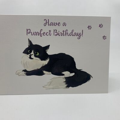 Tarjeta de cumpleaños de gato esponjoso A6 con sobre despegable y adhesivo - LEO