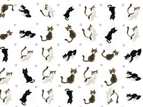 Cute Cats Wrapping Paper Cat Themed Gift Wrap for Birthdays and Celebrations