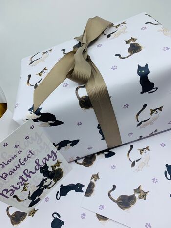 Papier d'emballage de chats mignons Emballage cadeau sur le thème des chats pour les anniversaires et les célébrations 2