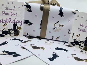 Papier d'emballage de chats mignons Emballage cadeau sur le thème des chats pour les anniversaires et les célébrations 3
