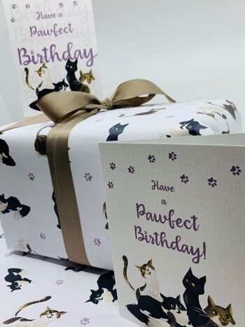 Papier d'emballage de chats mignons Emballage cadeau sur le thème des chats pour les anniversaires et les célébrations 4
