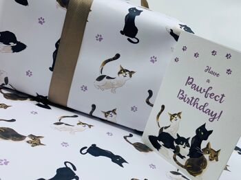 Papier d'emballage de chats mignons Emballage cadeau sur le thème des chats pour les anniversaires et les célébrations 6