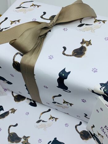 Papier d'emballage de chats mignons Emballage cadeau sur le thème des chats pour les anniversaires et les célébrations 9