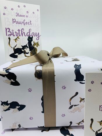 Papier d'emballage de chats mignons Emballage cadeau sur le thème des chats pour les anniversaires et les célébrations 10