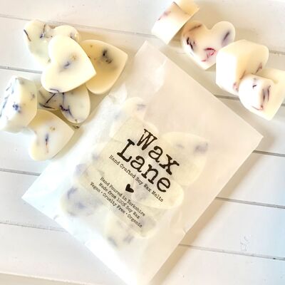 Fondants botaniques individuels de cire de soja – Citronnelle et gingembre
