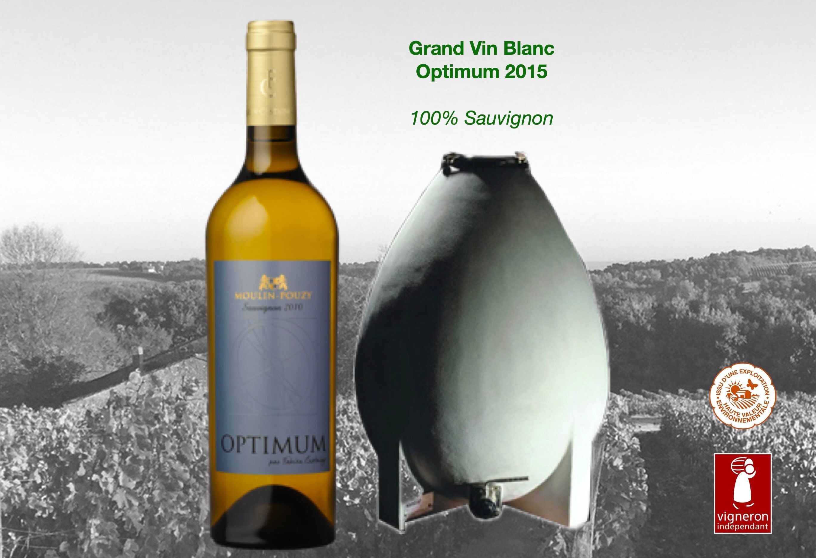 Ottimo Grand Vin Blanc de Moulin-Pouzy AOC Bergerac Sec 2015 75cl
