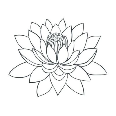 Sioou - Tatouage éphémères fleur de lotus