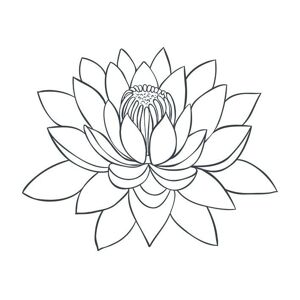 Tatouage éphémère : Fleur de lotus