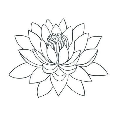 Temporary tattoo: Lotus flower