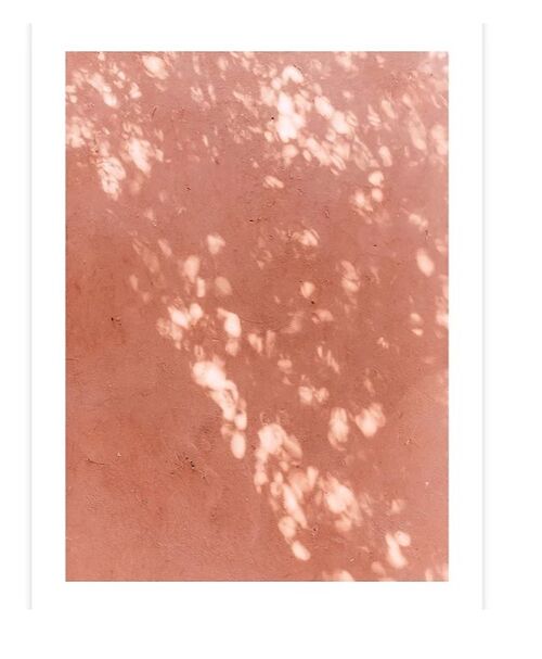 Print "Shades of Pink"