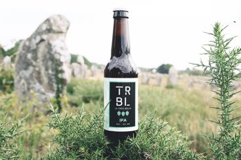 Bière artisanale - TRBL IPA 2