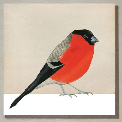 Bullfinch Card (British Birds)