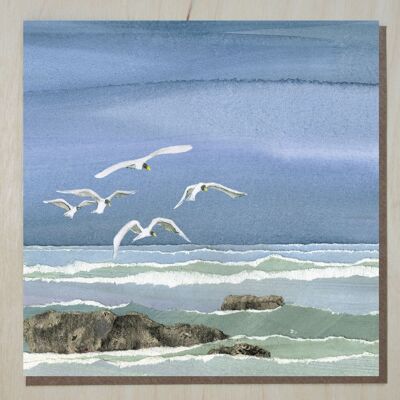 Cartes Côtière/Marine (oiseaux de mer)