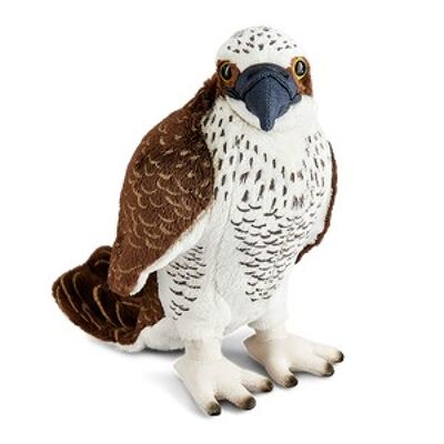Águila pescadora - Peluche naturaleza viva