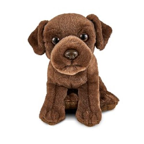 Chiot Labrador Brun - Peluche Living Nature