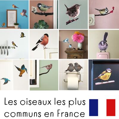 FRANCE Oiseaux Wall Stickers MYRTE