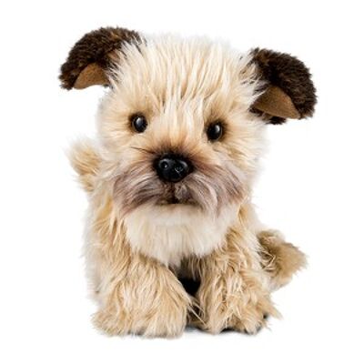 Border Terrier - Peluche Living Nature