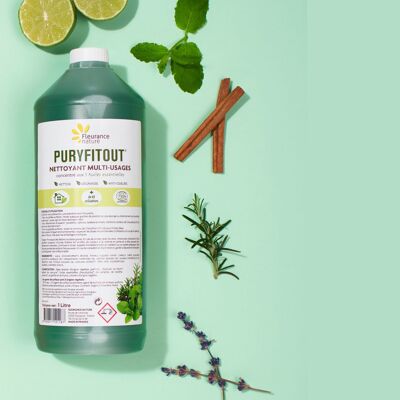 PURYFITOUT ECODETERGENT 1L (per unità in PCB da 3)