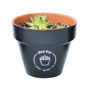 Grand Mini Pot 1