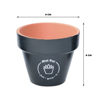 Grand Mini Pot 2