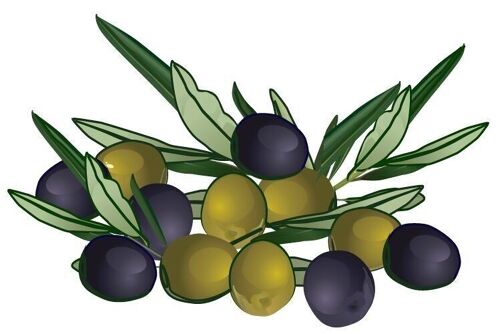 Eponge de provence pm62-olives