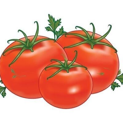 ESPONJA DE PROVENCE PM63-TOMATES