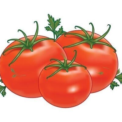 Eponge de provence pm63-tomates