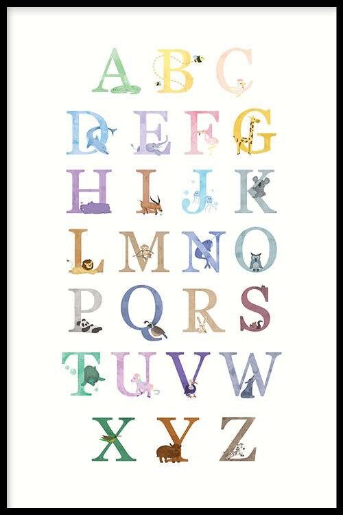 Dieren Alfabet - Poster - 13 x 18 cm