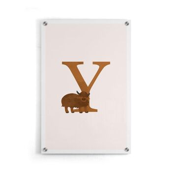 Alphabet Y - Affiche encadrée - 50 x 70 cm 5