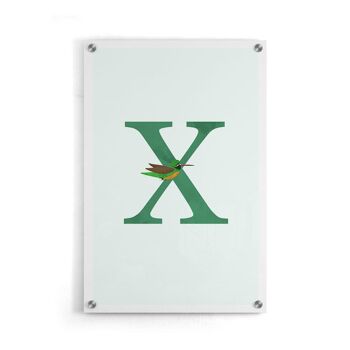 Alphabet X - Affiche - 20 x 30 cm 5