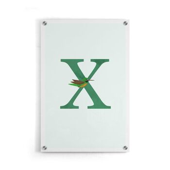 Alphabet X - Affiche encadrée - 20 x 30 cm 5