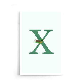 Alphabet X - Affiche encadrée - 20 x 30 cm 7