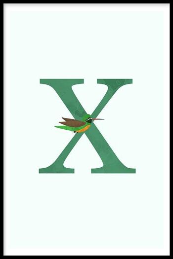 Alphabet X - Plexiglas - 30 x 45 cm 1