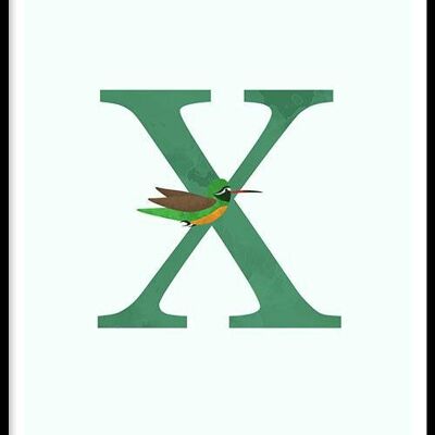 Alphabet X - Plexiglas - 40 x 60 cm