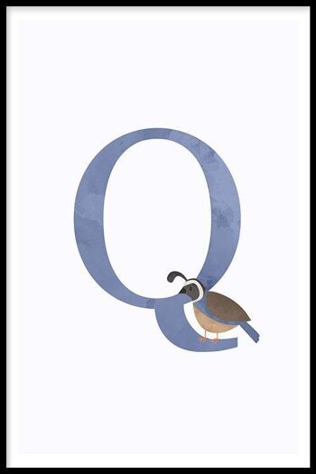 Alphabet Q - Affiche - 40 x 60 cm 1