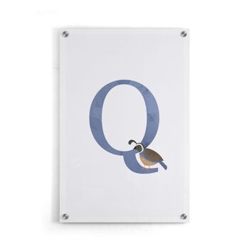 Alphabet Q - Affiche - 40 x 60 cm 5