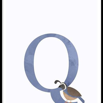 Alfabet Q  - Poster - 120 x 180 cm
